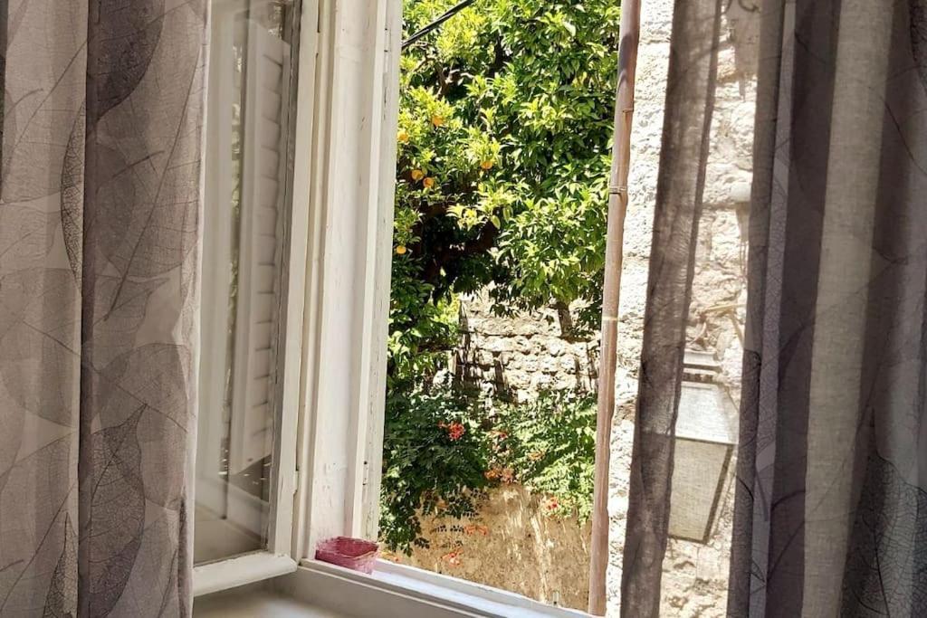 House Marija In Old Town Apartment Dubrovnik Exterior foto