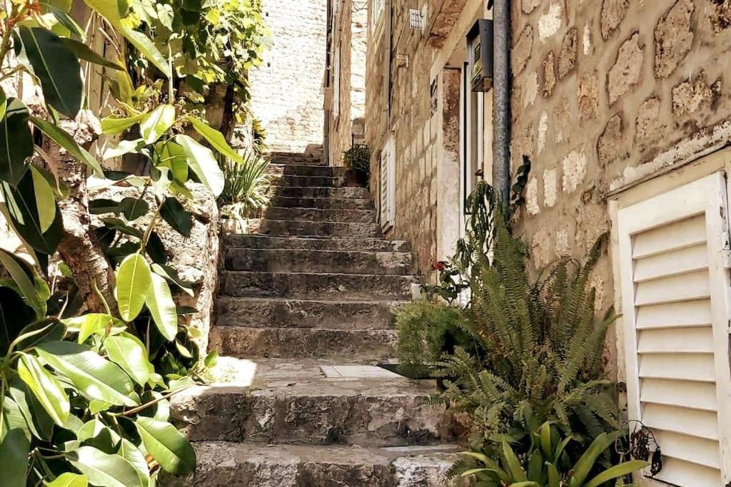 House Marija In Old Town Apartment Dubrovnik Exterior foto